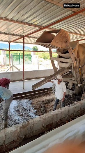 🌳 A mistake that taught me a lesson — now I take every step carefully! #mallikadairyfarm 🌳 Dairy Shed Flooring Mistake – Learn from My Experience! నా పాత షెడ్ లో ఒక పెద్ద పొరపాటు చేశా — షెడ్ మధ్యలో ఒక చెట్టు పెట్టి దాని చుట్టూ ఫ్లోరింగ్ వేసా. కొద్ది రోజులకి cracks వచ్చేశాయి, మొత్తం structure బలహీనమైంది. ఈసారి కొత్త షెడ్ ని పూర్తిగా ప్లాన్ చేసి, స్ట్రాంగ్ గా కట్టించుకున్నా. 💪 ఈ వీడియోలో నా అనుభవం షేర్ చేస్తున్నా — మీరు కూడా ఇలాంటి mistake చెయ్యకండి. ఒక చిన్న planning తప్పు తర్వాత పెద్ద loss అవ
