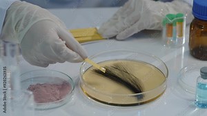 A lab scene features a hair lock soaked in a yellow solution being measured for pH using litmus paper, surrounded by laboratory equipment.