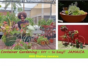 Container Gardening - DIY - So Easy!! JAMAICA