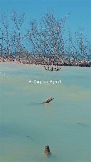 Fun day at Honeymoon Island State Park, FL.