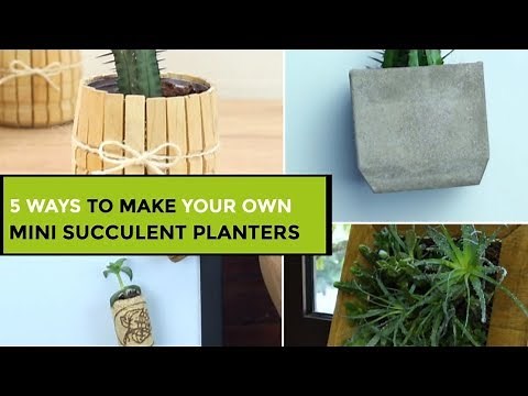 5 Ways To Make Your Own Mini Succulent Planters