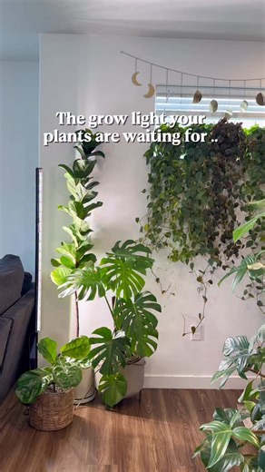 What do you think about my new grow light set up? 🌿🌿 I personally love it! Good lighting changes everything for your plants & these Barrina T1S grow lights prove it. They’re slim, bright, and easy to install anywhere you need extra light. Perfect for shelves, cabinets, or those darker plant corners that never get enough sun. 💡🌱 Comment ‘LIGHT’ & I’ll send you the details a 20% off discount code Or just head over to @barrina_us & use code MARIAHGROWS’ for 20% off discount Make sure you are fo