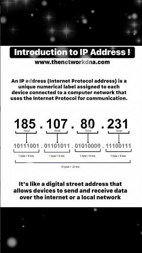 IP Addressing Basics