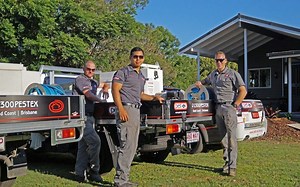 How much termite treatment cost in Australia?