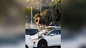 VIDEO: Person seen trashing Waymo car in California