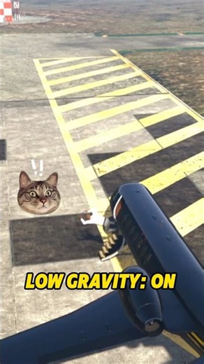 GTA 5: Low Gravity Plane Experiment