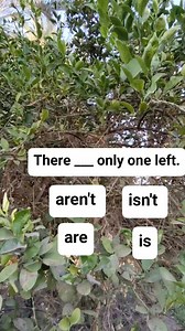 There ___ only one left. | Learn English with us