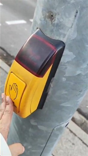 🇩🇪🚦 Crossing the Road in Germany: Rules You Must Follow