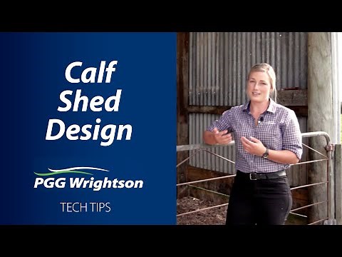 Calf Shed Design | PGG Wrightson Tech Tips