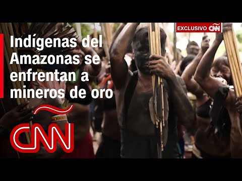 Indígenas del Amazonas resisten la minería ilegal de oro: la tribu yanomami pide ayuda en Brasil