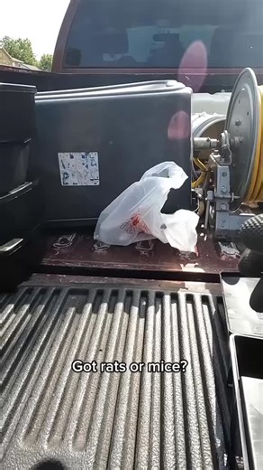 Rodent eradication #houstontexas #houston #houstontx | Venez PestControl | Facebook