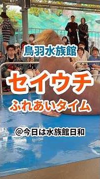 【鳥羽水族館】大迫力！セイウチふれあいタイム