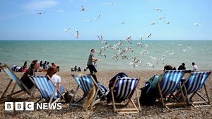 National Trust asks public to record seaside sounds