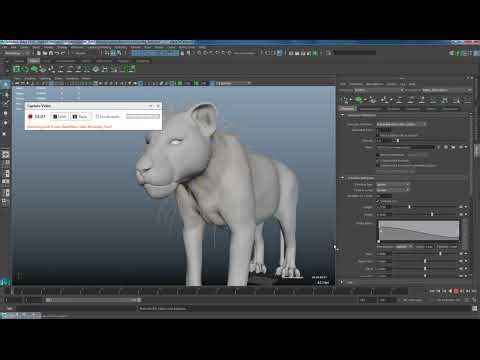 Dynamic Curves Xgen Not all moving with surface - Screen Recording included