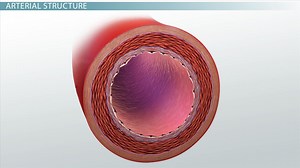 You must c C reate an account to continue watching