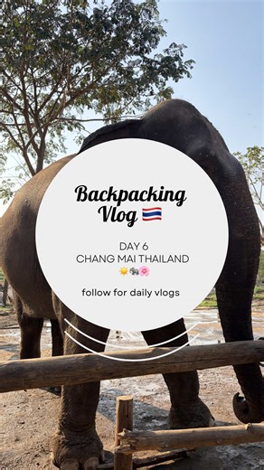 Backpacking vlog day 6 Chang Mai 🐘☀️🌸#changmai #backpacking #vlog #travel #fyp