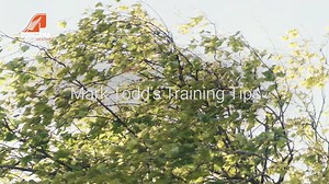 69 reactions | Sir Mark Todd's training tips courtesy of Equitana Auckland #EquitanaAuckland | Show Circuit - New Zealand's Ultimate Equestrian Magazine | Facebook