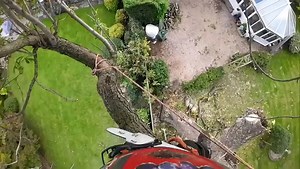 helping me ( ) up another removal, on this large back garden Horse Chestnut. #climber #safebloc #treesurgeonuk #treework #workoutside #treelife #arborist #notch #treeremoval #workatheight | Faye Gour | Facebook