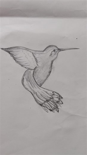 Beautiful Humming Bird Drawing | Easy Step-by-Step Tutorial