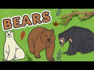All About Bears | Amazing Facts You Didn't Know
