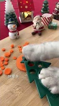 【料理猫王Cooking cat】Christmas dinner 猫咪成精了，做出这么精美的圣诞大餐，你可能学不会