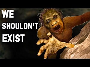 Are Humans Evolved From Monkeys? - The Complete Human Evolution Story
