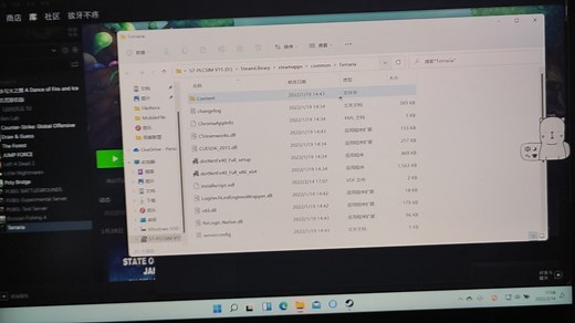 为什么泰拉瑞亚打不开啊，自从更新了win11后就打不开了，求解决方案