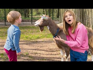 Amelia, Arthur and Dad learn about Animals at the Kids Farm