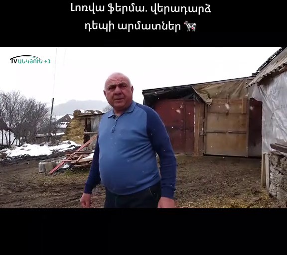 Ռուսաստանի 15 տարիներից հետո դեպի Լոռվա ֆերմա․ վերադարձ դեպի արմատներ 🐄 #rec #mylittlefarm #ankyun3 #սարեր #բնություն