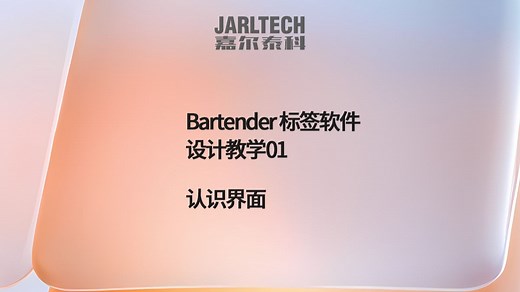 bartender软件设计标签系统教学
