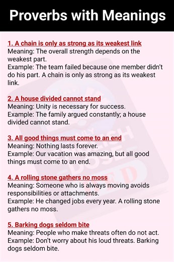 Most Useful English Proverbs and Their Meanings with Examples #fblifestyle #English #proverbs #learnenglish #dailyenglish | Daily English Dose