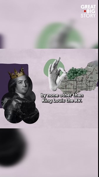 How rotten grapes create a legendary wine