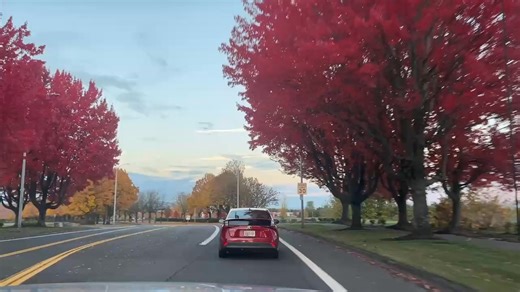 Portland Fall Colors | Funky Flowers by Flory