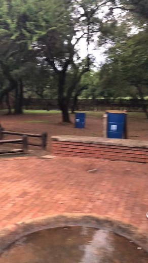 Bless me with stars and subscribe kaaa 😂 | Connie Liconia Chauke