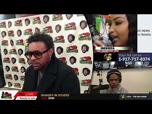 WHY SHAGGY DID NOT RECORD WITH JIMMY CLIFF