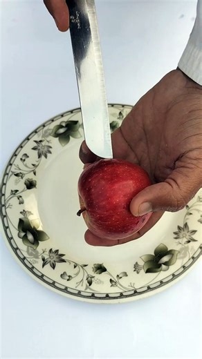 experiment.newton's laws of motion.