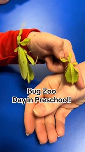 23K views · 103 reactions | Bug Zoo Day is one of my absolute favorites! A local program visits with all sorts of bugs, and our students get to learn about each one—plus, they can even touch them. It’s a hands-on way to spark curiosity and teach respect for nature. | Preschool Vibes | Facebook