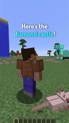 Types of Minecraft Players in Creative