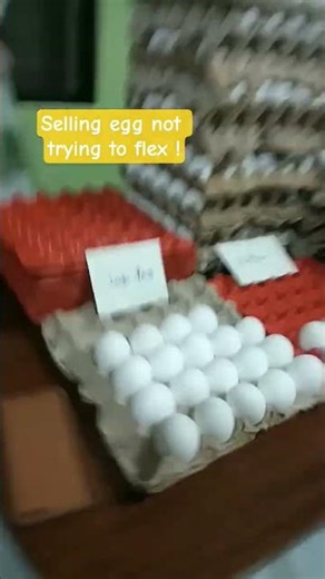 guys buy egg from my grandpa if not have a good day guys