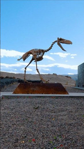 El AVE DEL TERROR más grande del mundo está en RÍO NEGRO | Paleoparque Comallo 🦖 #paleontologia