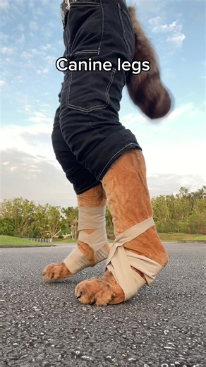 My fav piece of gear definitely!! Love digi legs (filler type post bc I need to film more) #therian #furry #kemonomimi #fyp #werewolf