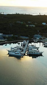 3.8K views · 97 reactions | Welcome to the Bahamas! | Local Knowledge | Facebook