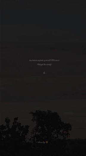 Honey Recipes and Tips for Every Season