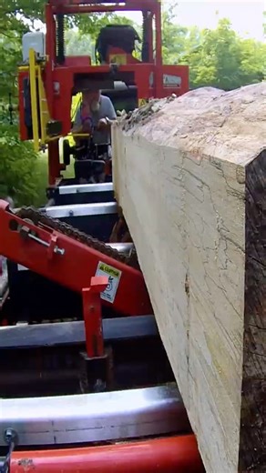 BEAUTIFUL SPALTED MAPLE from OLD REJECTED LOGS