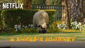 31K views · 466 reactions | A Sheep's Journey featuring the one and only Succulent #HowToRuinChristmas | Netflix | Facebook