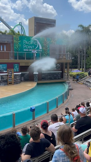 The big splash, and a distraction for OP the Otter to steal the plan #lol #lilythemastermind #asianclawedotter | Travisandcousins