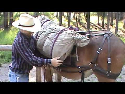 Packing the rear quarters of an elk in a barrel hitch