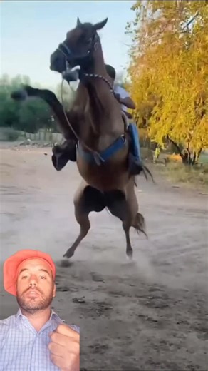 Todo lo que hizo estuvo mal 🐴⚠️ | Así NO se monta ni se maneja un caballo En este video se ve claramente una cadena de errores: ❌ Monta incorrecta ❌ Mal manejo ❌ Golpes en la boca del caballo ❌ Falta total de preparación La consecuencia es lógica: el caballo reacciona, se para de manos y lo saca de encima. No fue rebeldía. Fue defensa. 🧠🐎 💡 Antes de subirte a un caballo tenés que entender: ✔️ Cómo manejarlo desde el suelo ✔️ Cómo comunicarte sin violencia ✔️ Cómo usar la boca y las riendas c