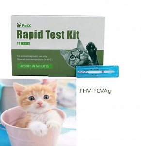 [Hot Item] Feline Calicivirus - Herpesvirus Type-1 Antigen Rapid Test for Cat