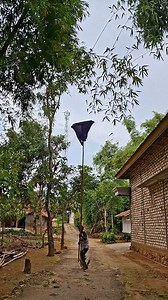 13K views · 44 reactions | The bird is very tall. | Jall Af | Facebook